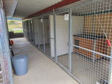 Stefan Müller Hundepension Wilhelmswalze review photo