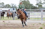 Gail Langfield review photo