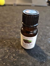 Rene S. review photo