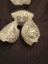 JimmyJams review photo