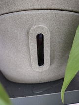 Daiane review photo