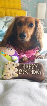 Anonymous review photo