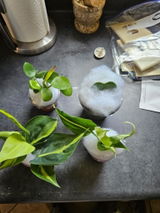 Etsy customer review photo