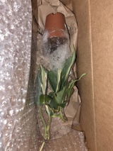 Etsy customer review photo