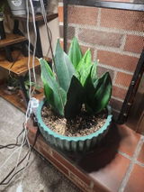 Etsy customer review photo
