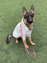 Bengisu Ece Nazlı review photo
