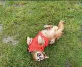 hilal kabulü review photo