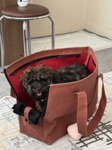 Fulya Uğur review photo