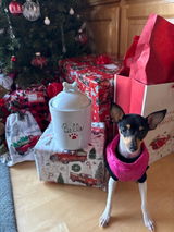 Etsy customer review photo