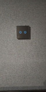 Deimantas Oho review photo
