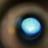 Steve P. review photo