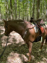 L.Z. review photo