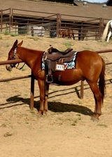 K.S. review photo