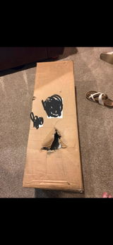 Joe Adams review photo