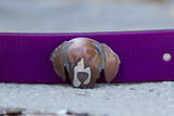 Carrington Tolzin review photo