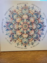 Sheila Roe review photo
