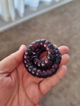 Erin review photo
