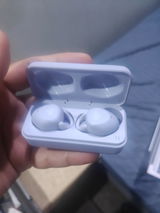 Hollowbutt review photo