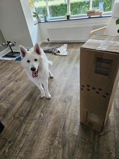 Review picture