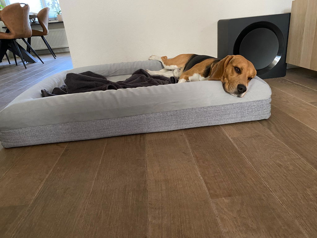 Buddy Beds