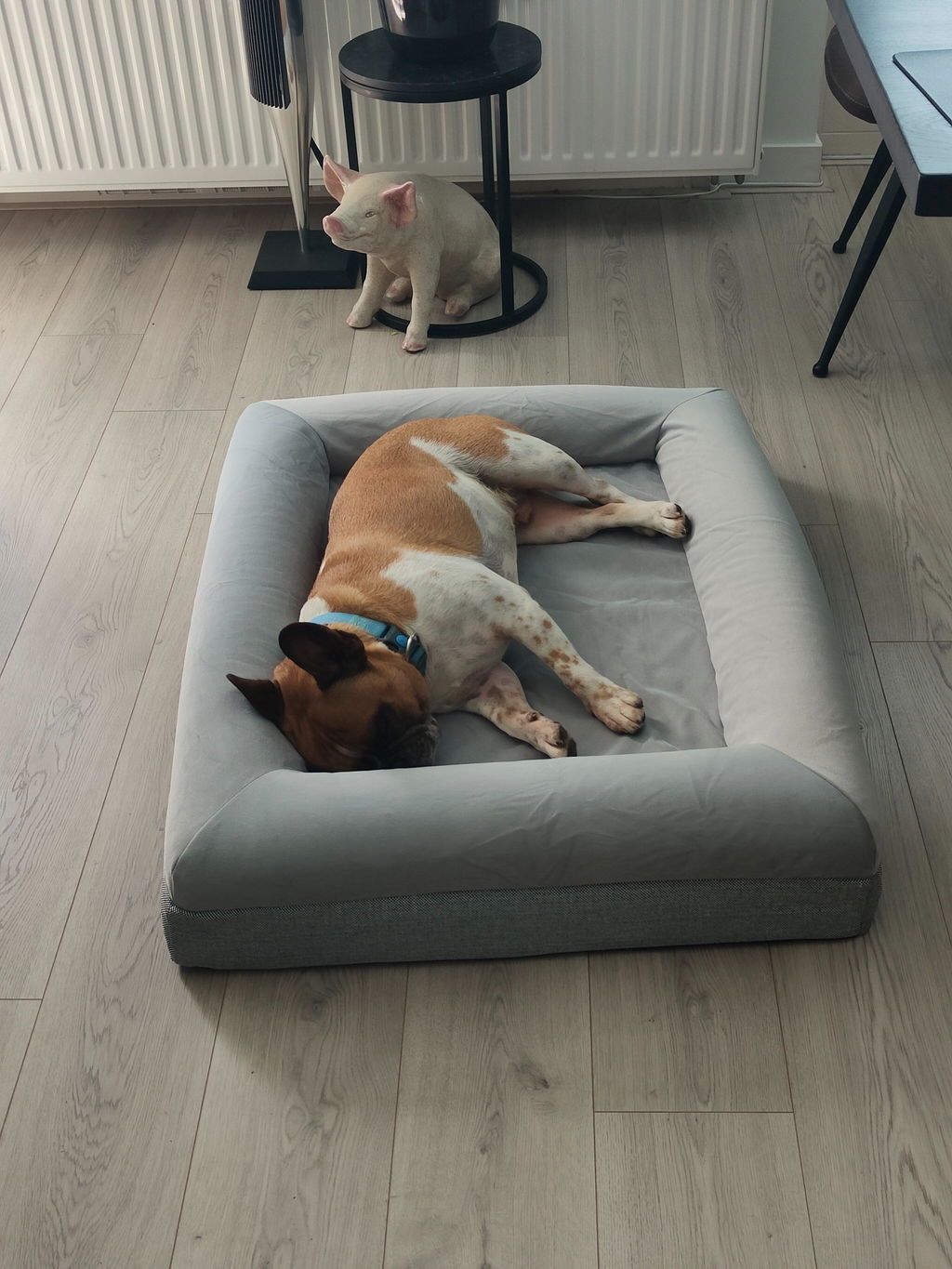 Buddy Beds