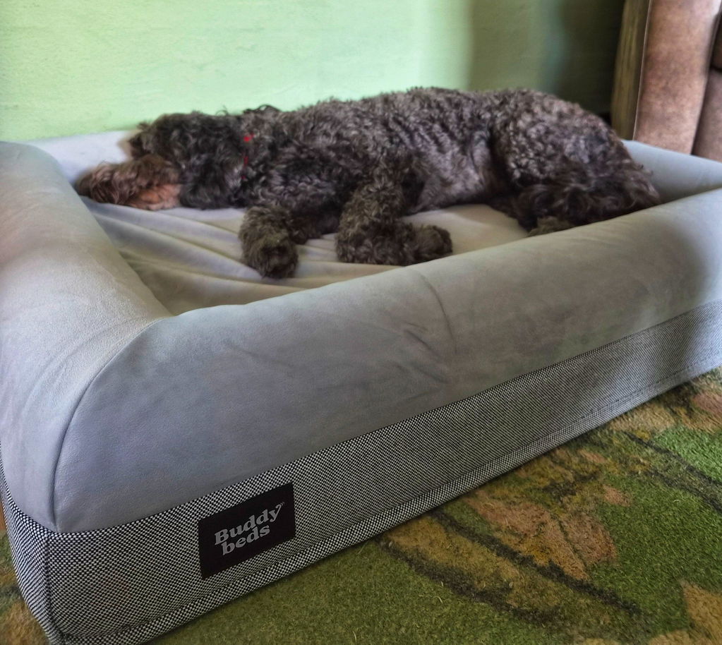 Buddy Beds