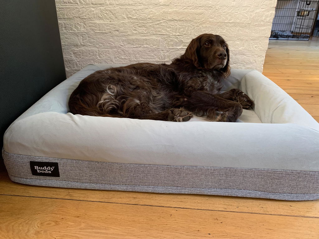 Buddy Beds
