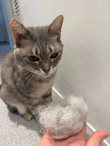 ゆきち review photo