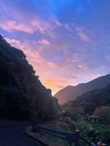 匿名 review photo
