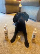 Kelly (& Luna) review photo