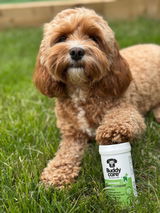 tails_of_cavapooluna review photo