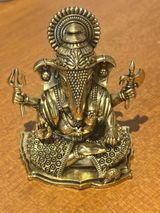 Vikram Somani review photo