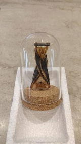 Aniyah review photo