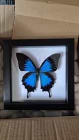 Rebecca Genders review photo