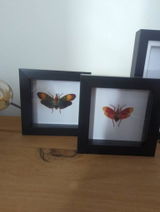 Aimee Owens review photo