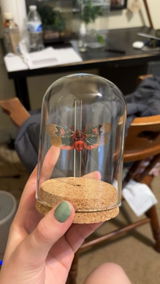 Etsy customer review photo
