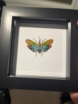 Etsy customer review photo