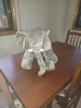 DUTHOIT Betty review photo
