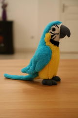MarianneC33 review photo