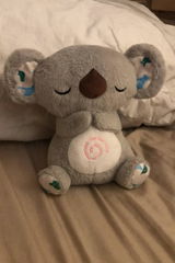 Alice review photo