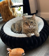 adrianna.lebon review photo