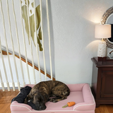 peachy.doggo review photo