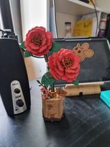 L.S. review photo
