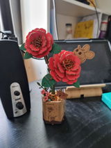 L.S. review photo