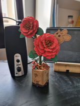 L.S. review photo
