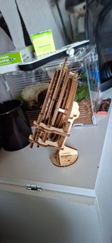 Savvy van den Berg review photo