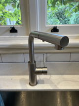 shayne review photo