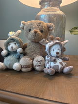 Shawna P. review photo