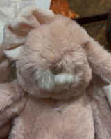 JoeP review photo