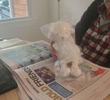 Anonymous review photo